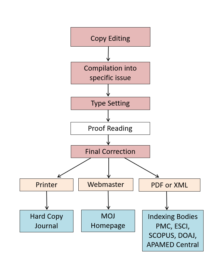 Copy Edited Manuscript Process